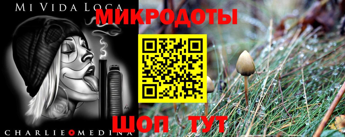 Псилоцибиновые грибы GOLDEN TEACHER Ликино-Дулёво